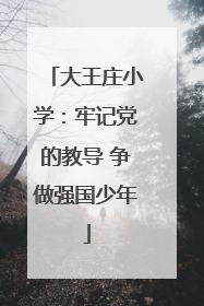大王庄小学：牢记党的教导 争做强国少年
