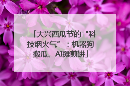 大兴西瓜节的“科技烟火气”：机器狗搬瓜、AI摊煎饼