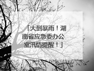 大到暴雨！湖南省应急委办公室汛情提醒！