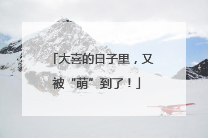 大喜的日子里，又被“萌”到了！