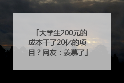 大学生200元的成本干了20亿的项目？网友：羡慕了