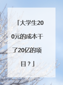 大学生200元的成本干了20亿的项目？