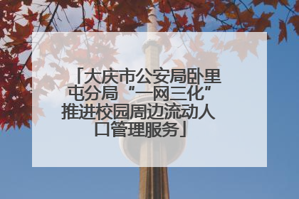 大庆市公安局卧里屯分局“一网三化”推进校园周边流动人口管理服务