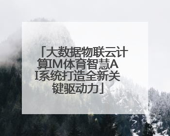 大数据物联云计算IM体育智慧AI系统打造全新关键驱动力