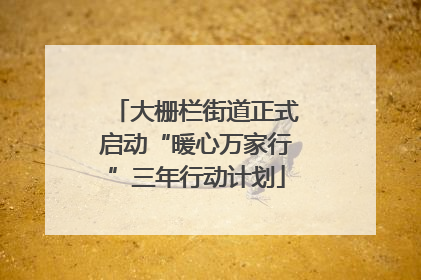 大栅栏街道正式启动“暖心万家行”三年行动计划