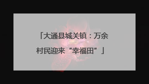 大通县城关镇：万余村民迎来“幸福田”