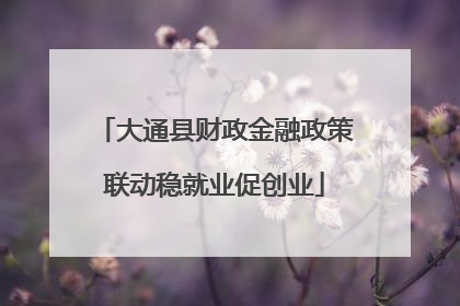 大通县财政金融政策联动稳就业促创业