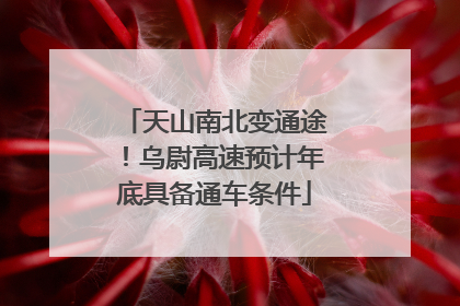 天山南北变通途！乌尉高速预计年底具备通车条件