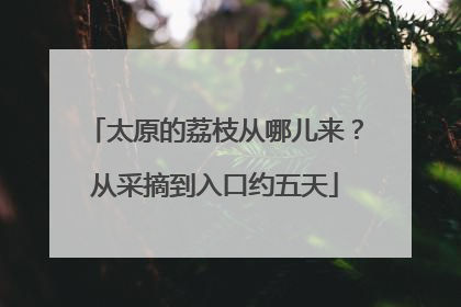 太原的荔枝从哪儿来？从采摘到入口约五天