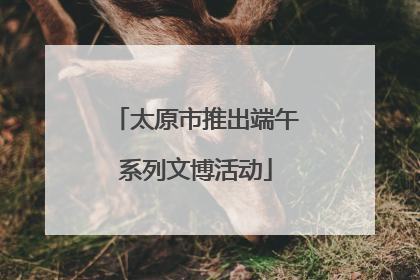 太原市推出端午系列文博活动