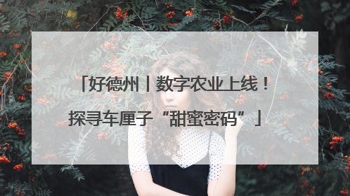 好德州丨数字农业上线！探寻车厘子“甜蜜密码”