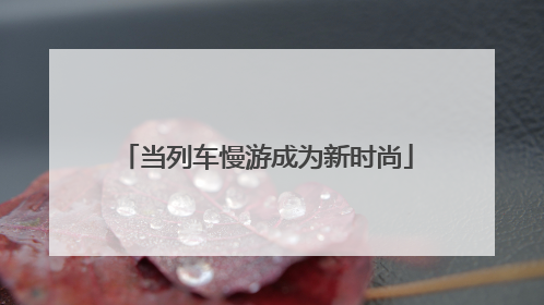 当列车慢游成为新时尚