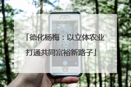 德化杨梅：以立体农业打通共同富裕新路子