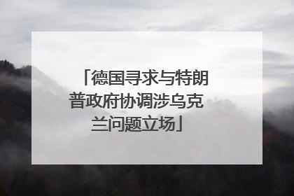 德国寻求与特朗普政府协调涉乌克兰问题立场