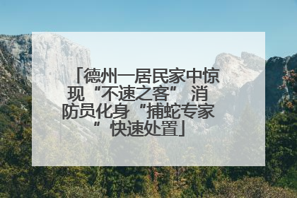 德州一居民家中惊现“不速之客” 消防员化身“捕蛇专家”快速处置