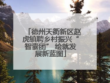德州天衢新区赵虎镇聘乡村振兴“智囊团” 绘就发展新蓝图