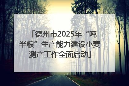 德州市2025年“吨半粮”生产能力建设小麦测产工作全面启动