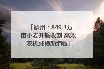 德州：849.3万亩小麦开镰收割 高效农机减损助增收