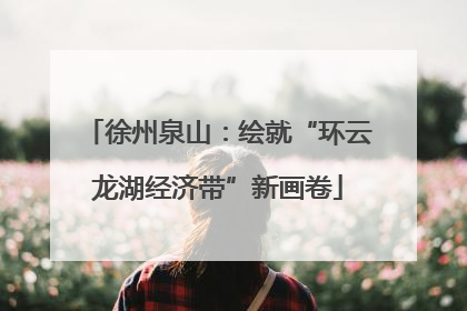 徐州泉山：绘就“环云龙湖经济带”新画卷