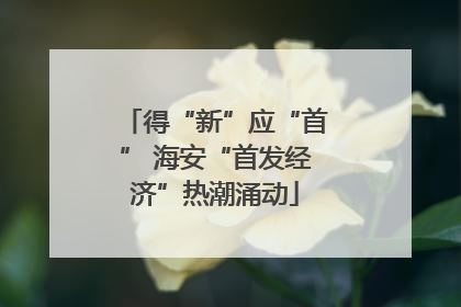 得“新”应“首” 海安“首发经济”热潮涌动