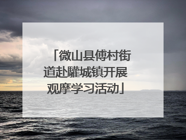 微山县傅村街道赴驩城镇开展观摩学习活动