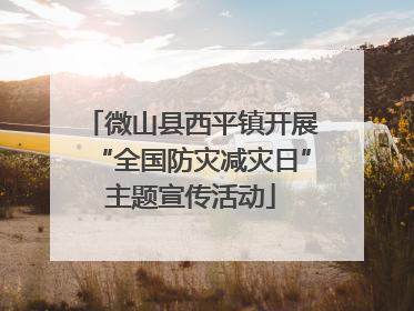 微山县西平镇开展“全国防灾减灾日”主题宣传活动