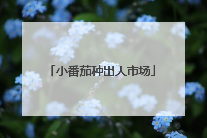 小番茄种出大市场