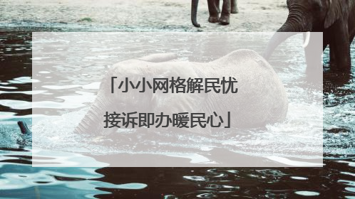 小小网格解民忧 接诉即办暖民心