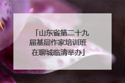 山东省第二十九届基层作家培训班在聊城临清举办