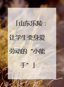 山东乐陵：让学生变身爱劳动的“小能手”