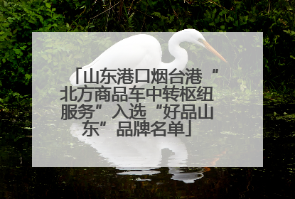 山东港口烟台港“北方商品车中转枢纽服务”入选“好品山东”品牌名单