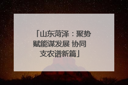 山东菏泽：聚势赋能谋发展 协同支农谱新篇