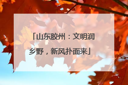 山东胶州：文明润乡野，新风扑面来