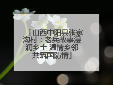 山西中阳县张家沟村：老兵故事浸润乡土 温情乡邻共筑国防情