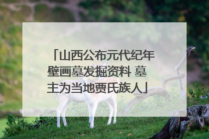 山西公布元代纪年壁画墓发掘资料 墓主为当地贾氏族人