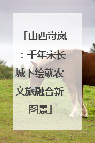 山西岢岚：千年宋长城下绘就农文旅融合新图景