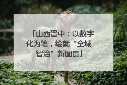 山西晋中：以数字化为笔，绘就“全域智治”新图景