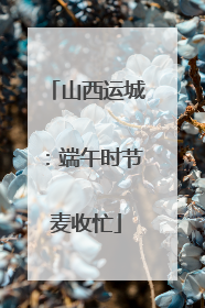 山西运城：端午时节麦收忙