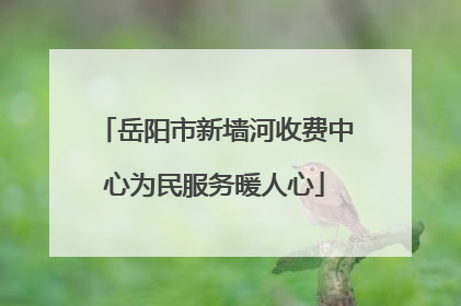 岳阳市新墙河收费中心为民服务暖人心