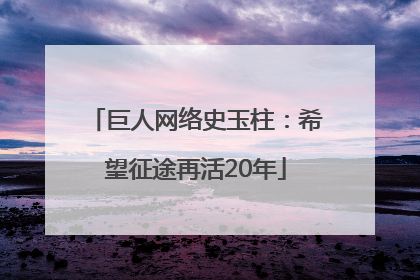 巨人网络史玉柱：希望征途再活20年