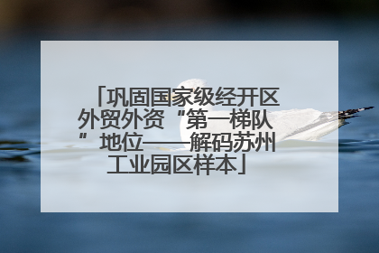 巩固国家级经开区外贸外资“第一梯队”地位——解码苏州工业园区样本
