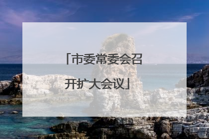 市委常委会召开扩大会议