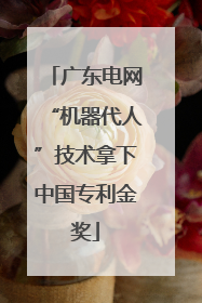 广东电网“机器代人”技术拿下中国专利金奖