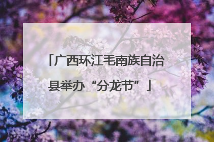 广西环江毛南族自治县举办“分龙节”