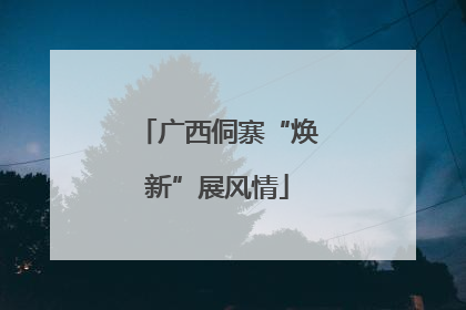 广西侗寨“焕新”展风情