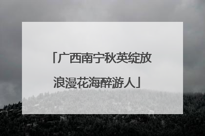 广西南宁秋英绽放 浪漫花海醉游人
