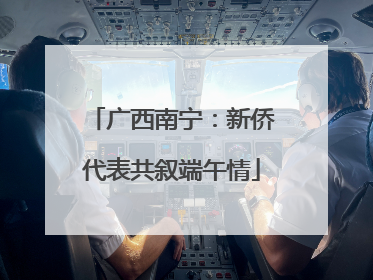 广西南宁：新侨代表共叙端午情