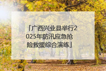 广西兴业县举行2025年防汛应急抢险救援综合演练