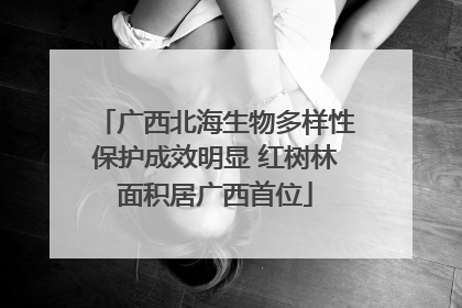 广西北海生物多样性保护成效明显 红树林面积居广西首位