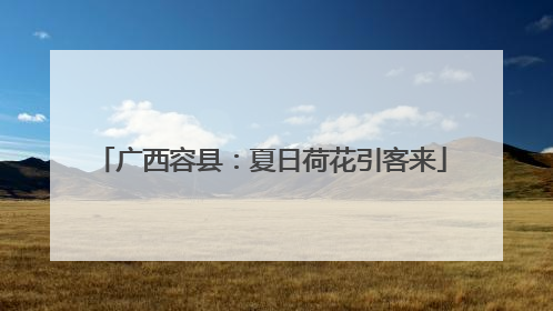 广西容县：夏日荷花引客来